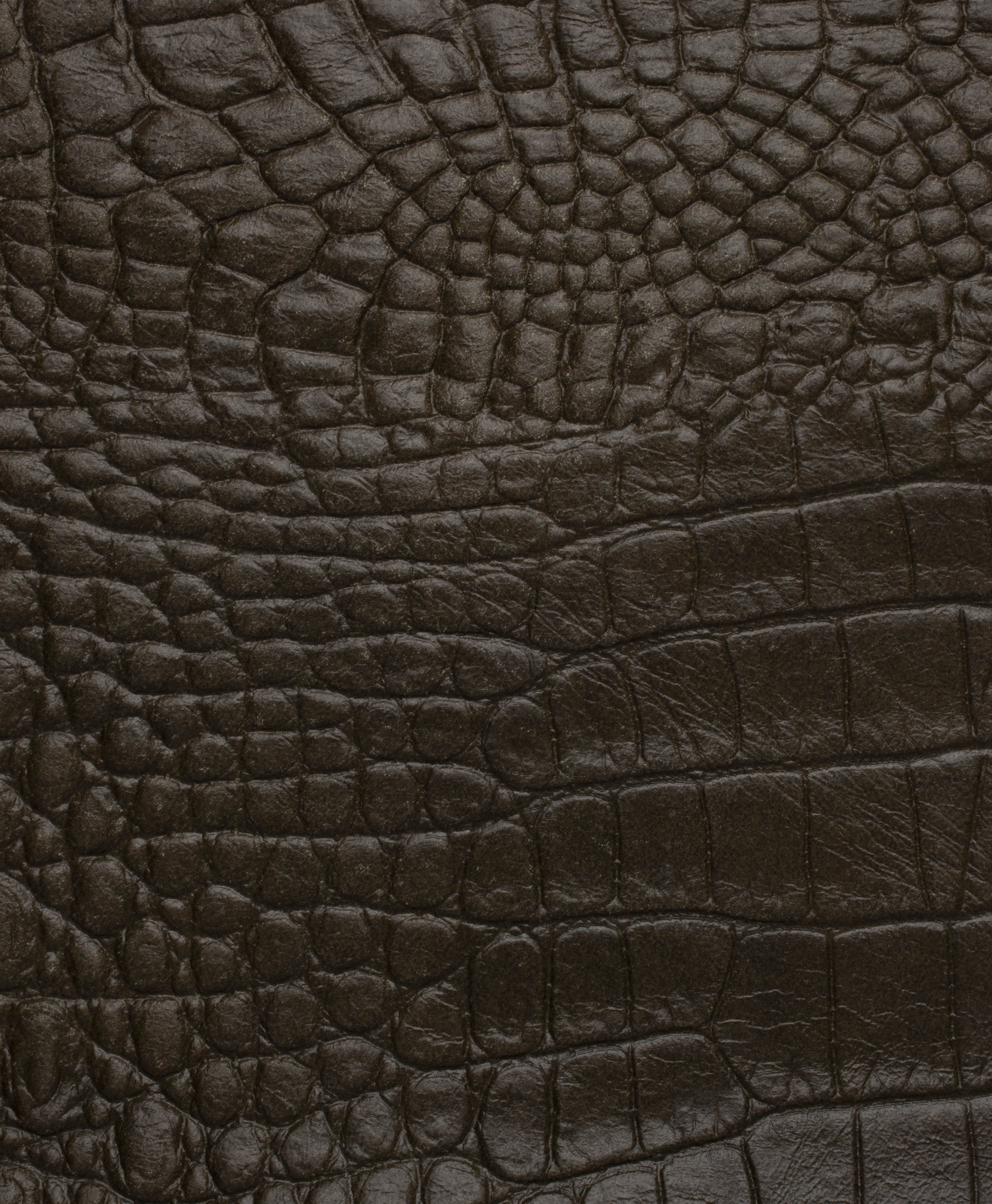 Cuir impression alligator