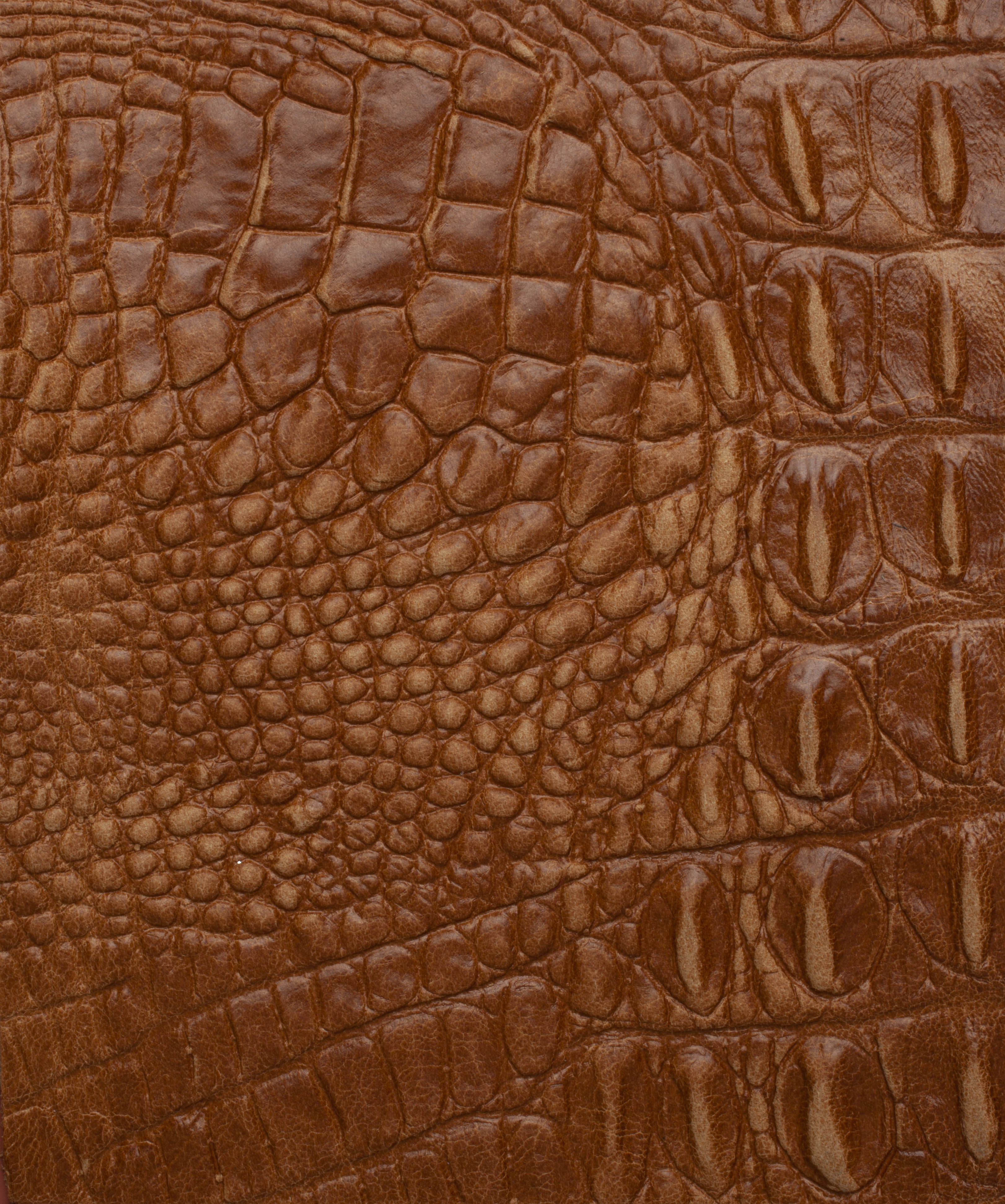 Cuir impression alligator