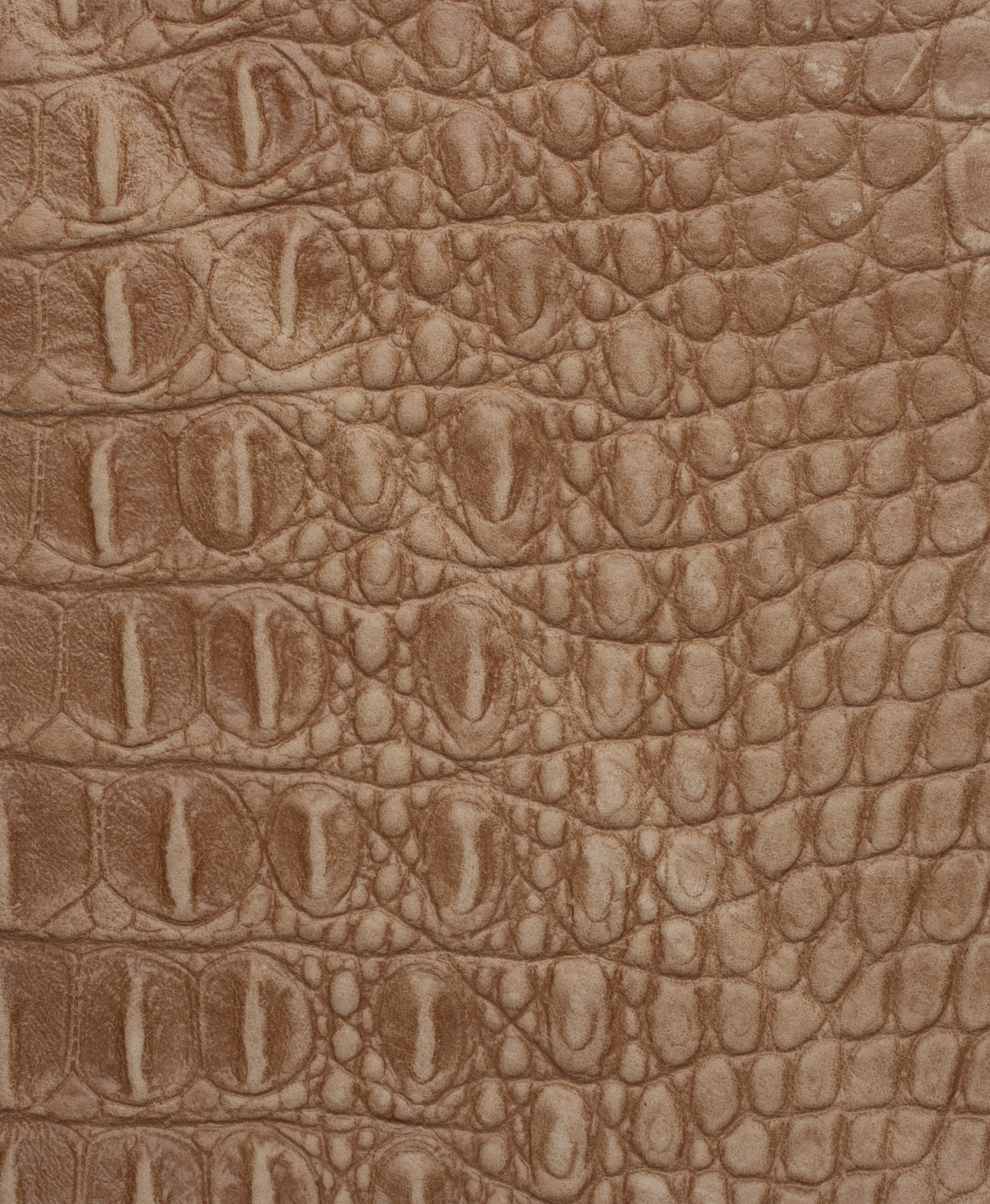 Ref Alligator pattern leather